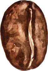 Coffee Beans Illustration